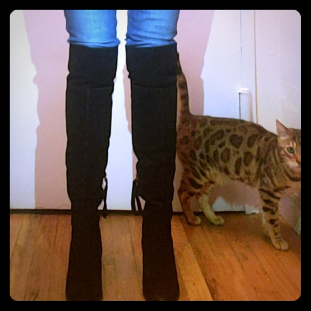 Dolce Vita suede over knee boots